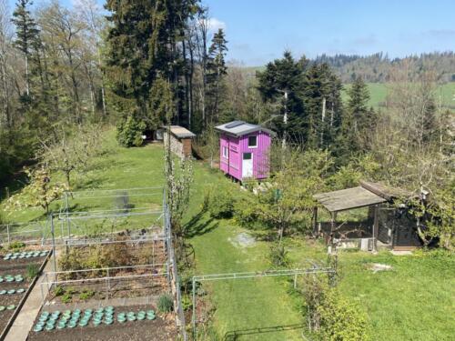 Die Villa am Waldrand